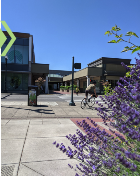 A photo of a city area. Someone is biking, and plants are visible.